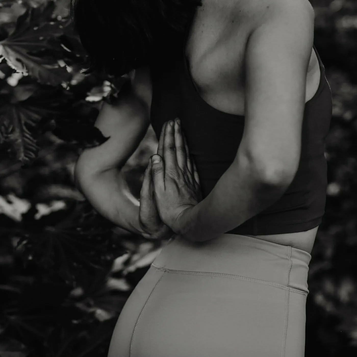 3ff3fdb3 5638 4f65 867c f09cd4a34de3